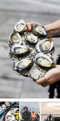 Tasmanian Oyster Co