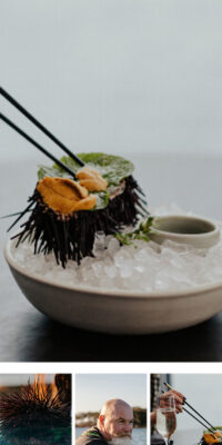 True South Seafoods
